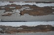 画像9: ENGLAND antique WOODEN LOUVERS イギリスアンティーク ヴォレー 木製ルーバー 雨戸 建具 ディスプレイ ヴィンテージ 1900-30's (9)