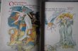 画像10: ENGLAND antique BOOK イギリス アンティーク 本 古書 洋書 ブック 1910's (10)