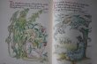 画像13: ENGLAND antique BOOK イギリス アンティーク 本 古書 洋書 ブック 1910's (13)