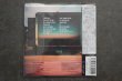 画像2: PSYCHOTIC YOUTH / HAPPY SONGS    CD  (2)
