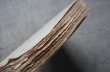 画像7: FRANCE antique BOOK フランス アンティーク ブック book 本 古書 洋書 1909's (7)