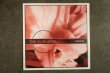 画像1: Pop Marshal / Rejoice!   CD (1)