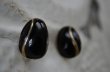画像2: U.S.A. antique TRIFARI Earrings  アメリカアンティーク トリファリ コスチュームジュエリー ヴィンテージ イヤリング 1960－80's  (2)