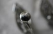 画像4: U.S.A. antique CORO Earrings  アメリカアンティーク コスチュームジュエリー ヴィンテージ イヤリング 1960－80's  (4)