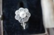 画像2: U.S.A. antique SWAROVSKI Earrings  アメリカアンティーク トリファリ コスチュームジュエリー ヴィンテージ イヤリング 1960－80's  (2)