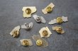 画像6: FRANCE antique PINS Pin Badge 10pcs フランスアンティーク ピンズ ピンバッジ 10個 CAR 車 自動車 ヴィンテージ 1980-90's (6)