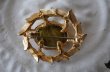 画像4: SALE【30%OFF】ENGLAND antique Brooch イギリスアンティーク ブローチ アクセサリー ヴィンテージブローチ コスチュームジュエリー 1960-80's  (4)