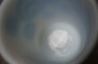 画像6: U.S.A. vintage FIRE KING STRAINGE CIRCLE MUG CUP アメリカヴィンテージ ファイヤーキング ストレンジサークル 青 マグ マグカップ 1960-76's (6)