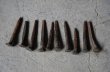 画像4: SALE【40%OFF】U.S.A. antique Railroad Nails 10pcs アメリカアンティーク レールロード ナンバーネイル 鉄道釘 10本セット 釘 1940-50's