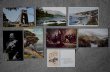 画像2: ENGLAND antique POST CARD 8pcs イギリスアンティー ポストカード 8枚セット  ヴィンテージ 葉書 ビンテージ 1900-50's (2)