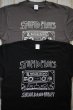 画像5: STUPID PLOTS T-shirts 2025  GY (5)