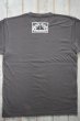 画像2: STUPID PLOTS T-shirts Logo 2025 GY (2)