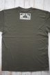 画像2: STUPID PLOTS T-shirts Logo  2025  AG (2)