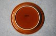 画像7: ENGLAND antique HORNSEA 【HEIRLOOM】TEA PLATE イギリスアンティーク ホーンジー エアルーム オータムブラウン ティープレート・ケーキプレート ヴィンテージ 1976's (7)