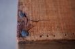 画像13: U.S.A. antique YEAST FORM WOODEN BOX アメリカアンティーク 木製 ウッドボックス ヴィンテージ 木箱 1920-1940's (13)
