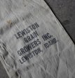 画像1: U.S.A. antique GRAIN BAG アメリカアンティーク 穀物袋 キャンバス地  バッグ 布袋 ヴィンテージ 1950-70's (1)