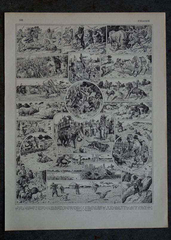 画像1: FRANCE antique ART PAPER  フランスアンティーク 辞書・図鑑の1ページ ［狩猟］ 描画 アンティークアート 1900's