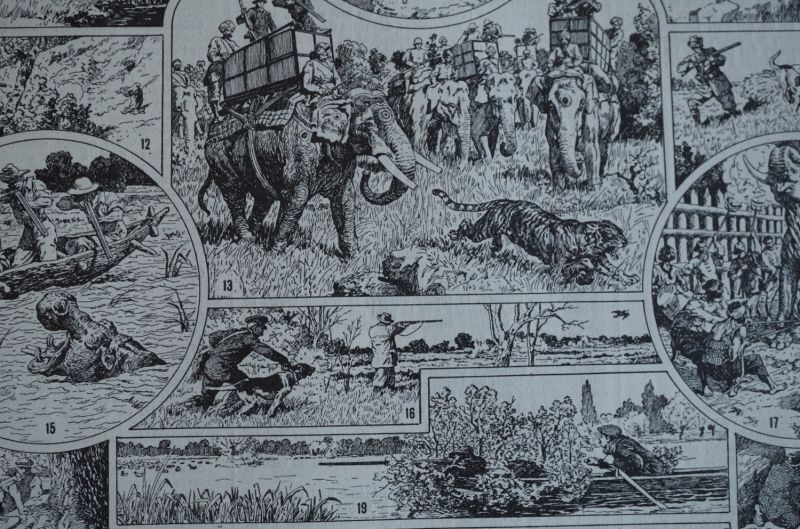 画像4: FRANCE antique ART PAPER  フランスアンティーク 辞書・図鑑の1ページ ［狩猟］ 描画 アンティークアート 1900's