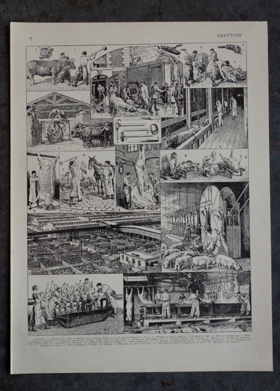 画像1: FRANCE antique ART PAPER  フランスアンティーク 辞書・図鑑の1ページ ［食肉処理場］ 描画 アンティークアート 1900's