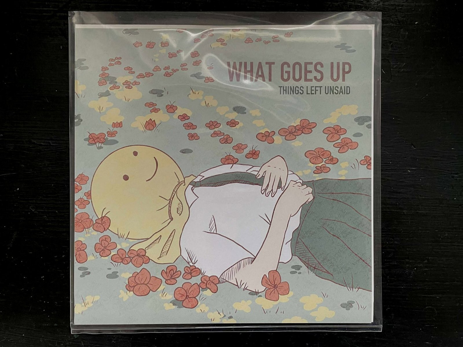 画像1: WHAT GOES UP  /  THINGS LEFT UNSAID   7" EP